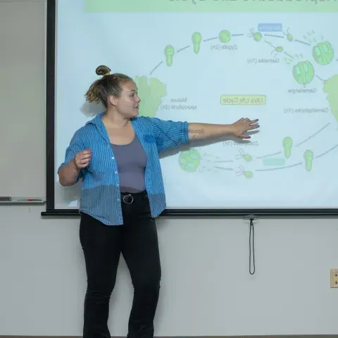 A UNE student presents a slideshow to a room of people